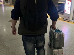 -郑州东站