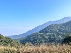 -梧桐山风景名胜区