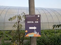 -阿林有机农庄