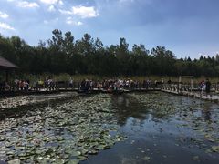 -溱湖国家湿地公园