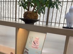 -长风拨筋养身(金虹桥店)