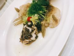 -世博源公馆·本帮融合菜·主题包厢·江景餐厅