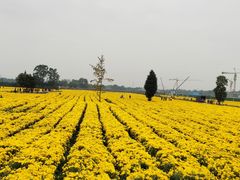 -中国天府农业博览园