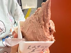 -野人先生现做冰淇淋(北京王府井东方新天地店)
