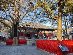 -红螺寺