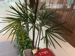 -沼津港精致料理·寿喜烧·烧鸟(青浦宝龙广场日料榜单店)