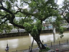 -广东胜利宾馆西关粤中餐厅
