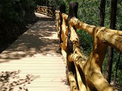 -阳台山自然风景区