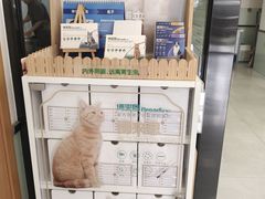 -中农大我爱我爱动物医院·核磁CT·猫病·24小时夜诊中心(石佛营店)