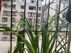 -小八仙·宴(三峡茶庄店)