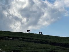 -灵山