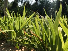 -滨河世纪广场公园