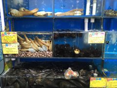 -蚝专家(北滘店)