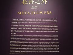 -德基艺术博物馆