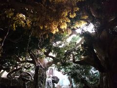 -多彩贵州城极地海洋世界