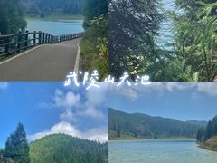 -武陵山森林公园