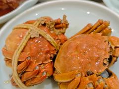 -乡乐园蟹庄·阳澄湖农家乐