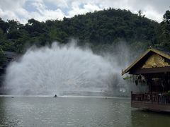 -西双版纳原始森林公园