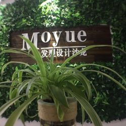 -Moyue HAIR SALON
