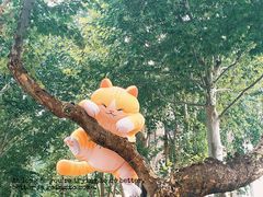 -西安电影制片厂