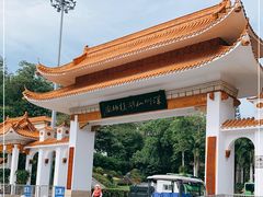 -深圳仙湖植物园