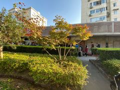 -金杨老摊头蛋饼(金口路店)