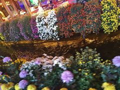 -小喜客·云南特色菜(纳西庭院店)