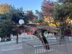 -大钟寺古钟博物馆
