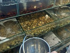 -仙螺岛海鲜自助餐厅(总店)