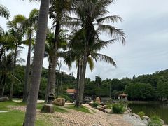 -深圳仙湖植物园