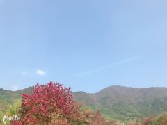-塔川景区