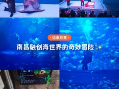 -南昌融创海世界