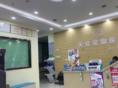 -天宠宠物医院24小时·急重症诊疗中心·全科·腔镜特色(和平分院)