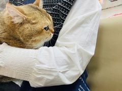 -宠颐生中康贝怡动物医院