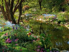 -上海共青森林公园