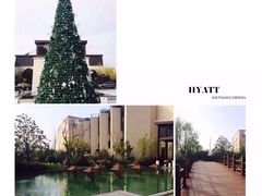 -上海崇明金茂凯悦酒店