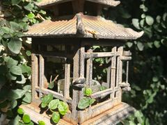 -水岸居湖景农家乐·阳澄湖大闸蟹