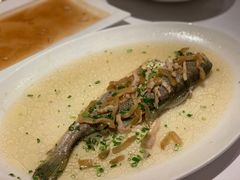 -苏浙总会(国金中心店)