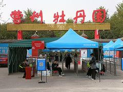 -曹州牡丹园