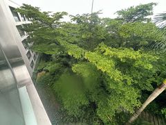 -东澳岛