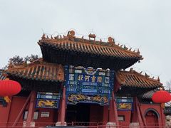 -药王庙(安国市)