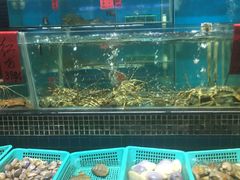 -海大大蒸汽海鲜餐厅·粤菜·特色小炒(欢乐颂店)