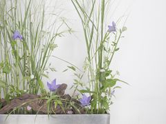-荷兰布尔玛国际花艺学院