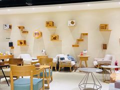 -藏猫猫咖啡主题馆(中央大道店)