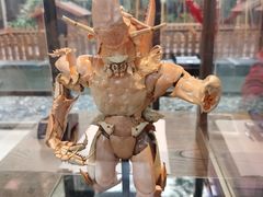 -上海崇明金茂凯悦酒店