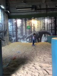 -恐龙探索乐园(磁器口店)