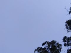 -南国桃园旅游度假区