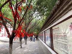 -西安青龙寺遗址景区
