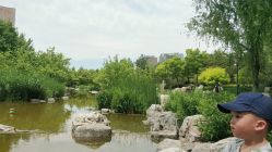 -大望京儿童游乐场