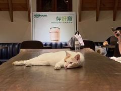 -星巴克臻选(思南公馆店)
